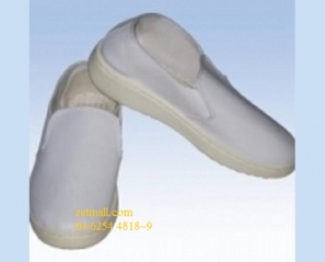 Giày chống tĩnh điện(PVC) - 230mm~280mm 